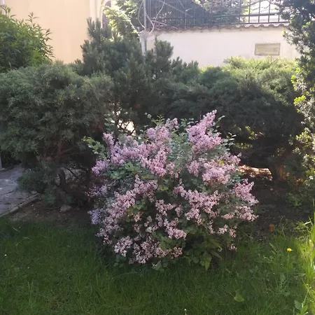 Prince Residence Apartments 3* Bükreş