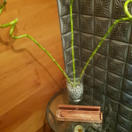 公寓式酒店 王子住宅基督爱你 3*